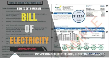 Easy Steps to Obtain a Duplicate Electricity Bill Online