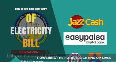 Effortlessly Obtain a Duplicate Electricity Bill: A Step-by-Step Guide