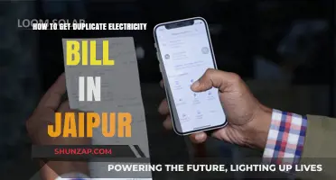 Duplicate Electricity Bill in Jaipur: A Step-by-Step Guide