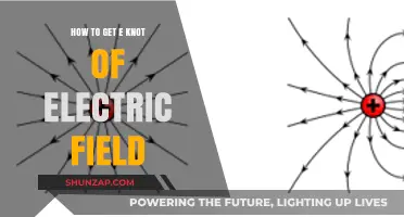 Untangling the Mysteries: A Guide to Electric Field Knots