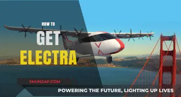 Unleashing Electra: A Comprehensive Guide to Acquiring and Mastering the Skill