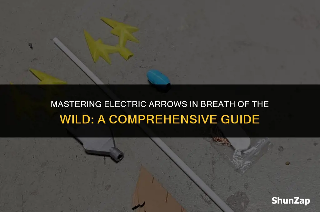 how to get electric arrows breath of the wild