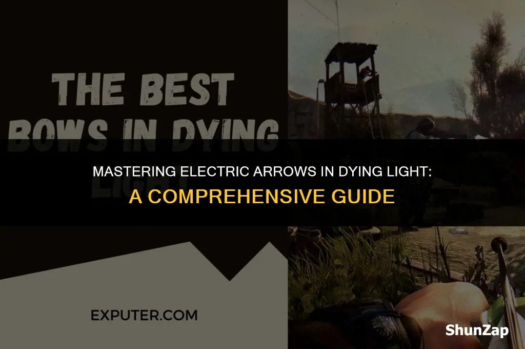 how to get electric arrows dying light