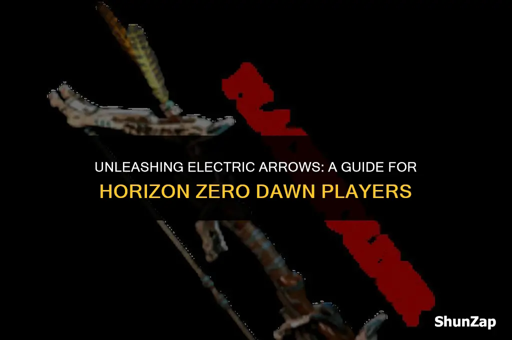 how to get electric arrows in horizon zero dawn