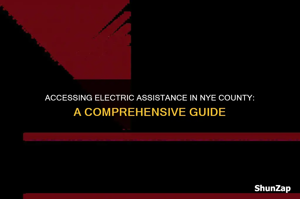 how to get electric assistance nye county
