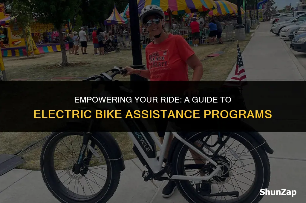 how to get electric assistance