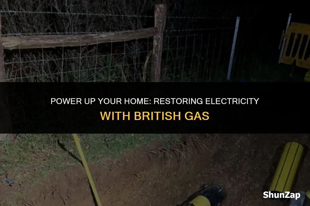 how to get electric back on british gas