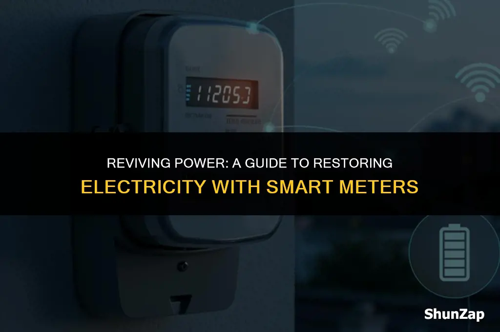 how to get electric back on with smart meter