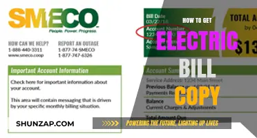 Easy Steps to Obtain Your Electric Bill Copy Online
