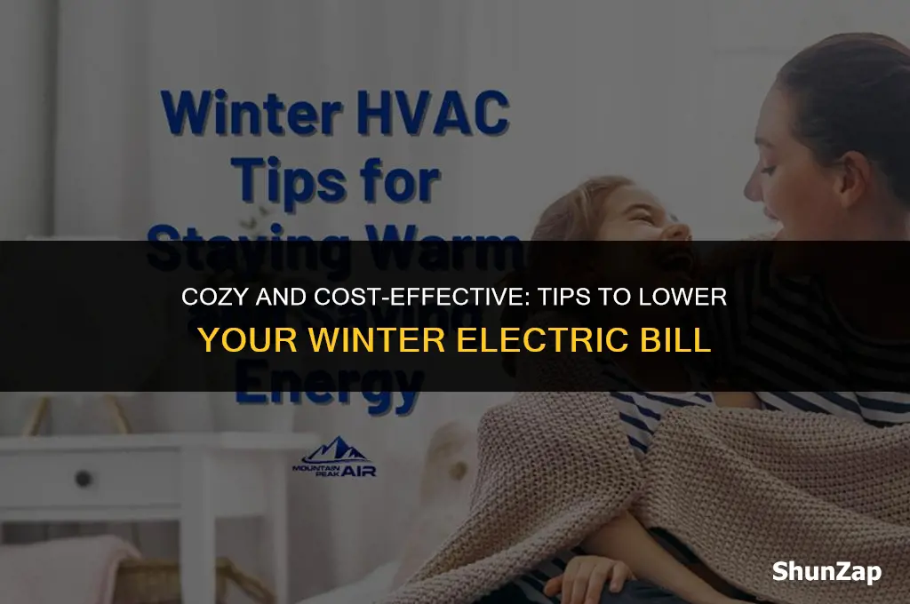 how to get electric bill down in winter