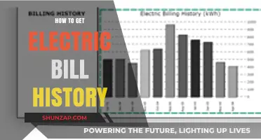 Accessing Your Electric Bill History: A Comprehensive Guide