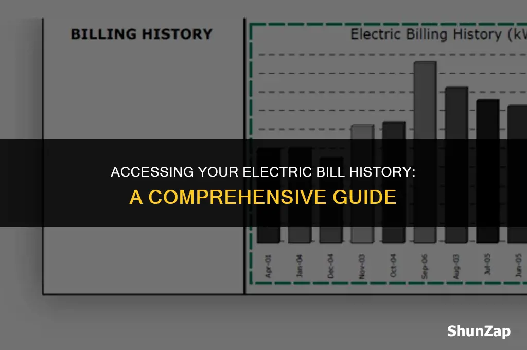 how to get electric bill history