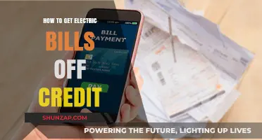 Slash Your Electric Bills: A Credit-Boosting Guide