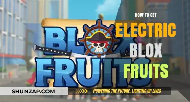 Unleashing the Power: A Guide to Obtaining Electric Blox Fruits