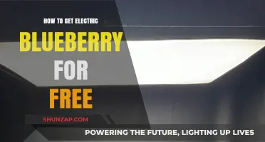 Discover the Secret to Free Electric Blueberries: A Comprehensive Guide