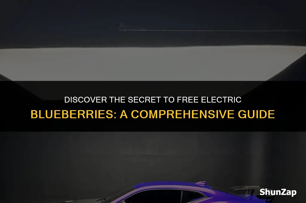 how to get electric blueberry for free