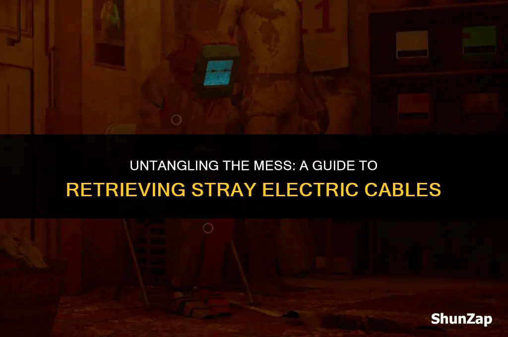 how to get electric cable in stray