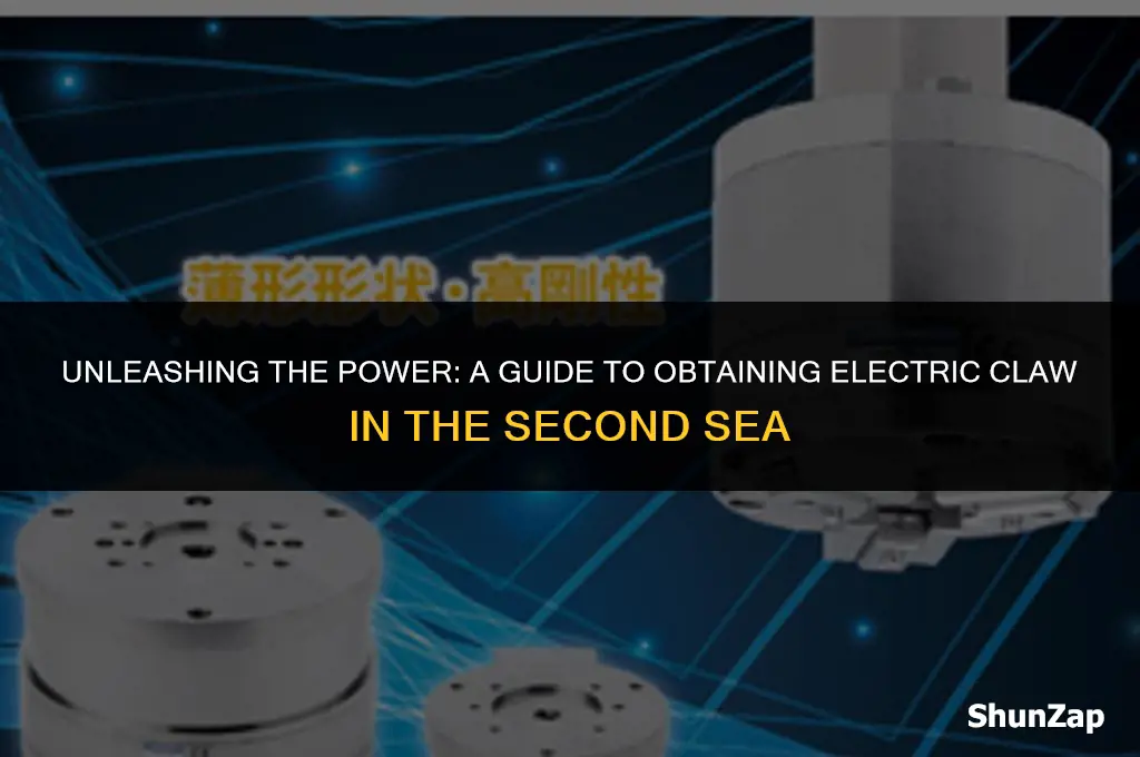 how to get electric claw 2nd sea