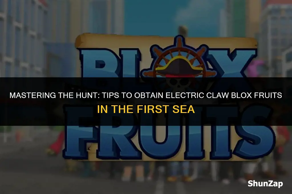 how to get electric claw blox fruits first sea