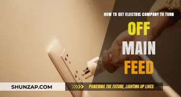 Safely Disconnecting Your Home: A Guide to Turning Off the Main Electric Feed