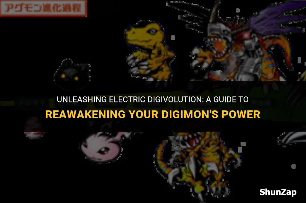 how to get electric digivolution rearise