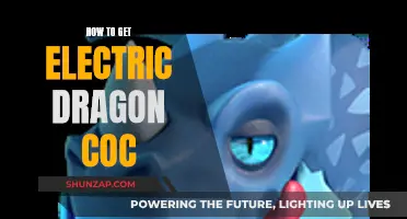 Unleashing the Electric Dragon: A Comprehensive Guide to Acquisition