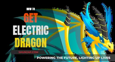 Unleashing the Electric Dragon: A Guide to Power and Performance