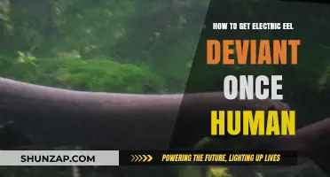 Unleashing the Electric Eel Within: A Journey from Human to Deviant