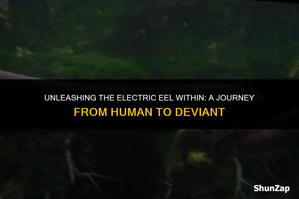 how to get electric eel deviant once human