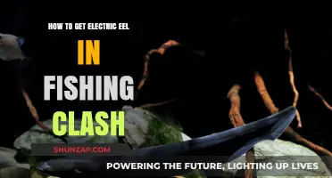 Reeling in the Shock: A Guide to Catching Electric Eels in Fishing Clash
