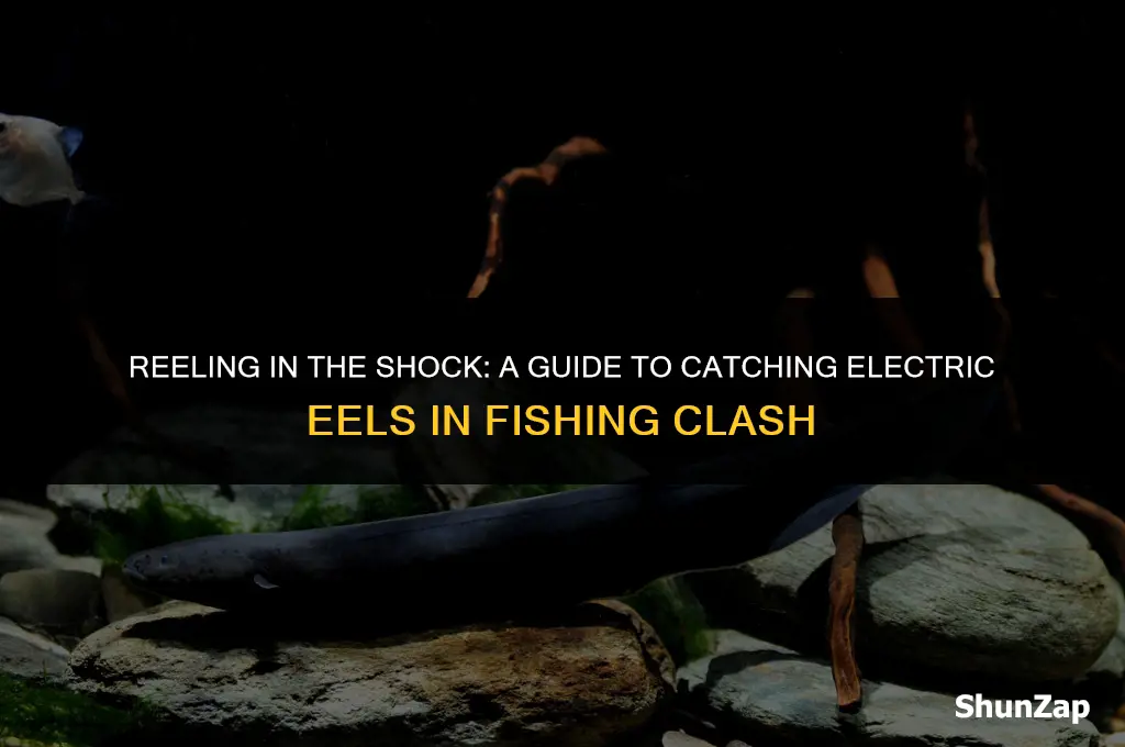 how to get electric eel in fishing clash