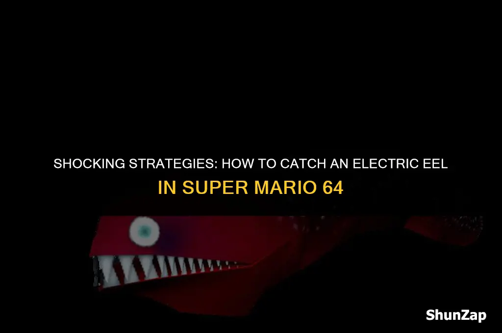 how to get electric eel in super mario 64