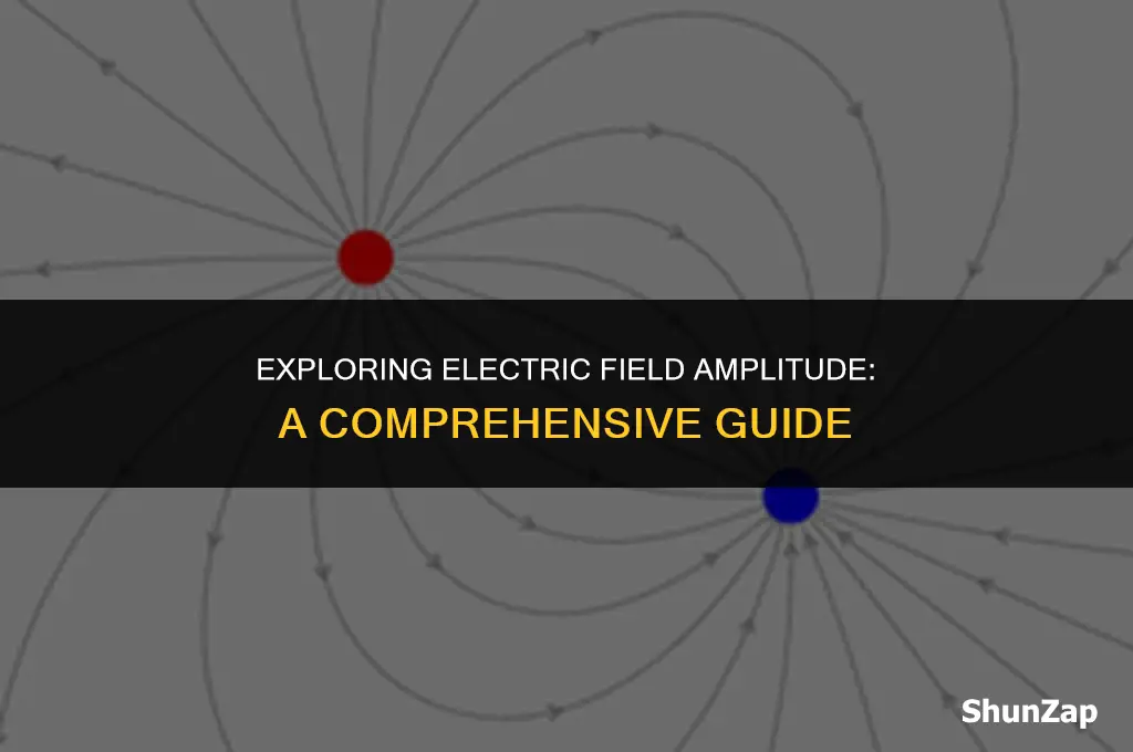 how to get electric field amplitude