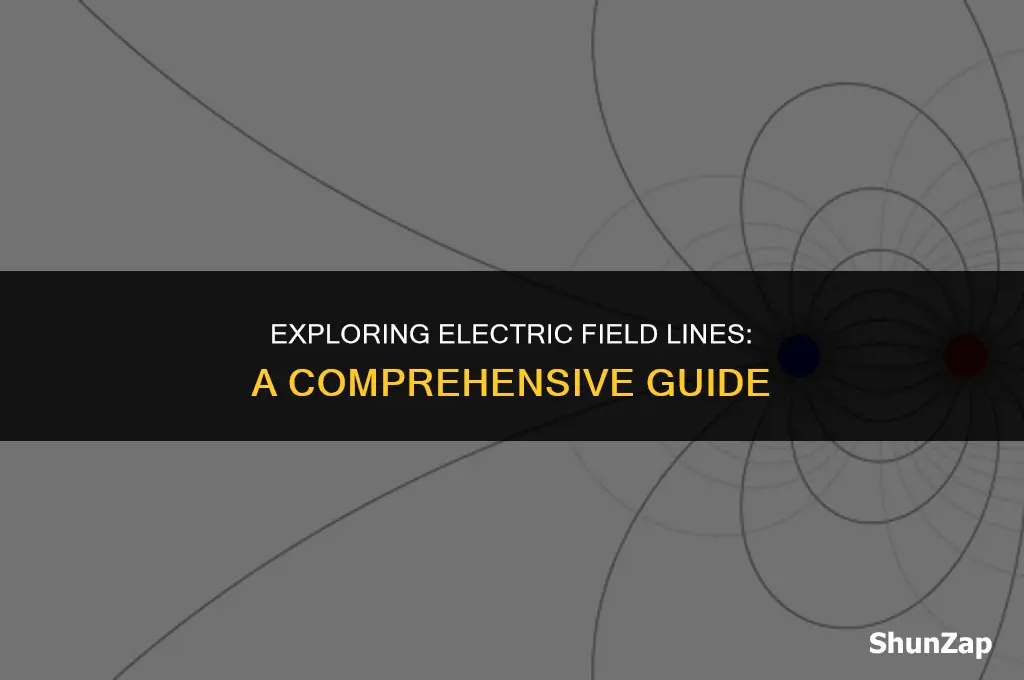 how to get electric field lines