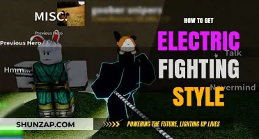 Unleash Your Inner Spark: Mastering the Electric Fighting Style