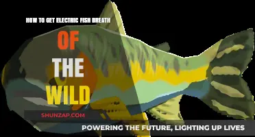 Electrifying Adventures: Mastering the Art of Electric Fish Breath in Breath of the Wild