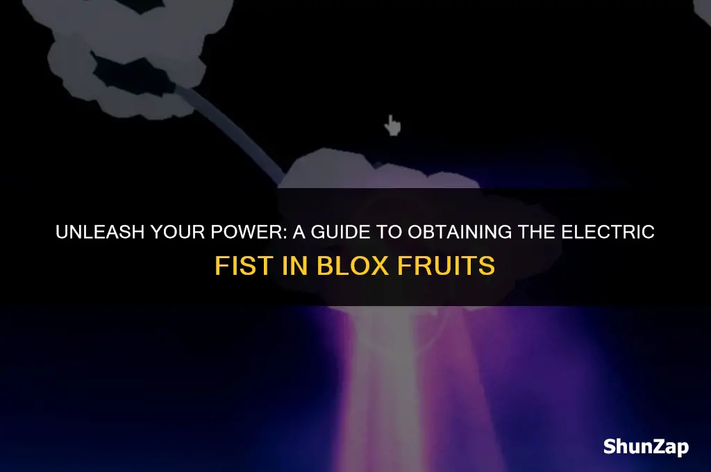 how to get electric fist in blox fruits