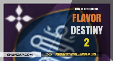Unleash the Power: A Guide to Electric Flavor in Destiny 2