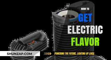 Zapping Up Your Taste Buds: The Electric Flavor Adventure