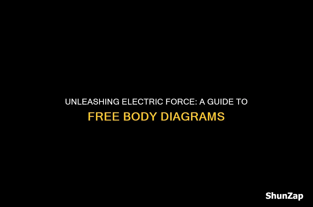 how to get electric force from free body diagram