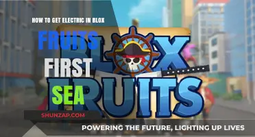 Unleashing Electric Powers: A Beginner's Guide to Blox Fruits' First Sea