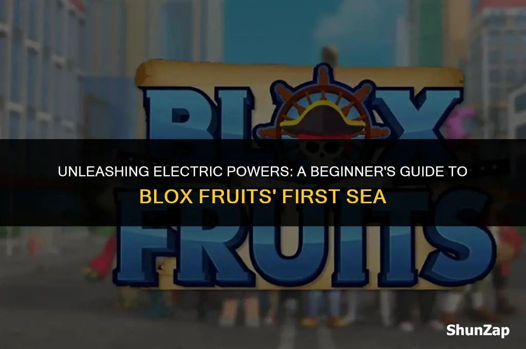 how to get electric in blox fruits first sea