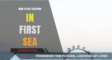 Electrifying Your First Sea Adventure: Tips and Tricks