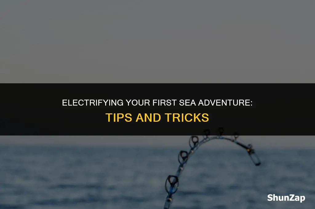 how to get electric in first sea