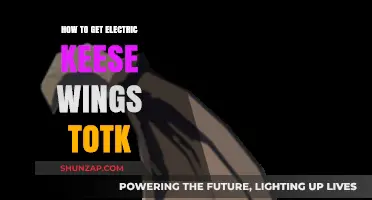 Electrifying Adventures: How to Obtain Keese Wings in TotK