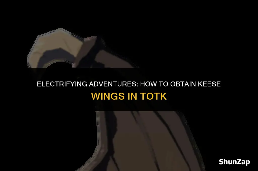 how to get electric keese wings totk