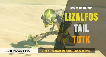 Unlocking the Secrets: How to Obtain the Electric Lizalfos Tail in TOTK