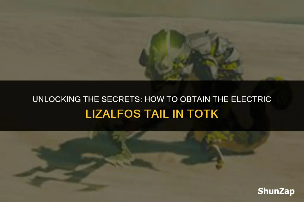 how to get electric lizalfos tail totk