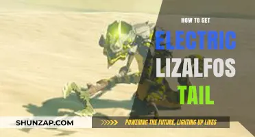 Unleashing the Power: A Guide to Obtaining an Electric Lizalfos Tail