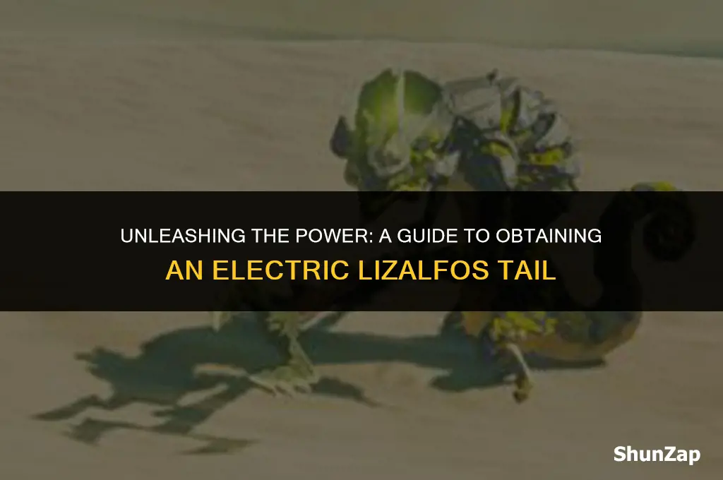 how to get electric lizalfos tail